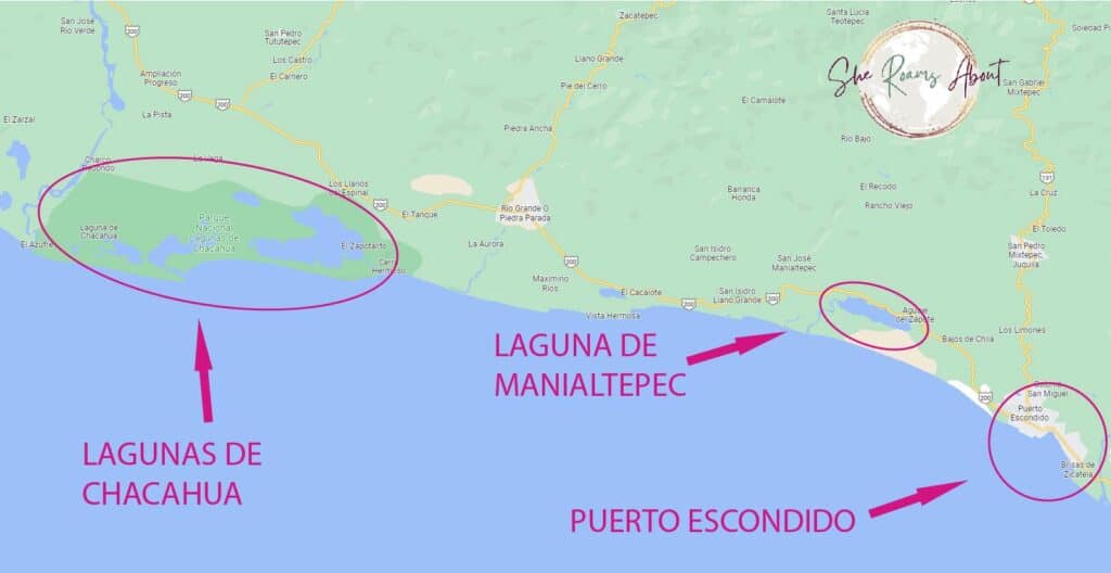 There are two places to find bioluminescence near Puerto Escondido, Laguna de Manialtepec and Lagunsa de Chacahua