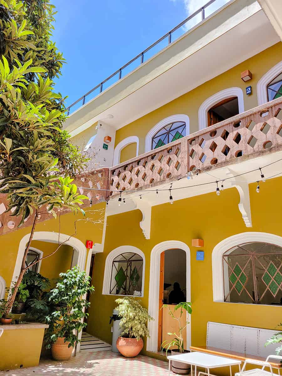 A view of the courtyard at Cafeologia in San Cristobal de las Casas with bright yellow paint, plants, and a blue sky.