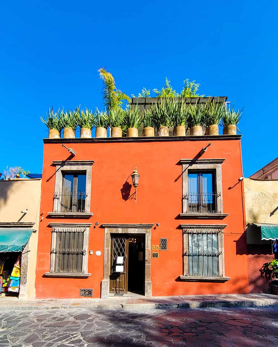 The orange facade of Casa Florida B&B San Miguel de Allende with plant pots on the roof and a welcoming open door.