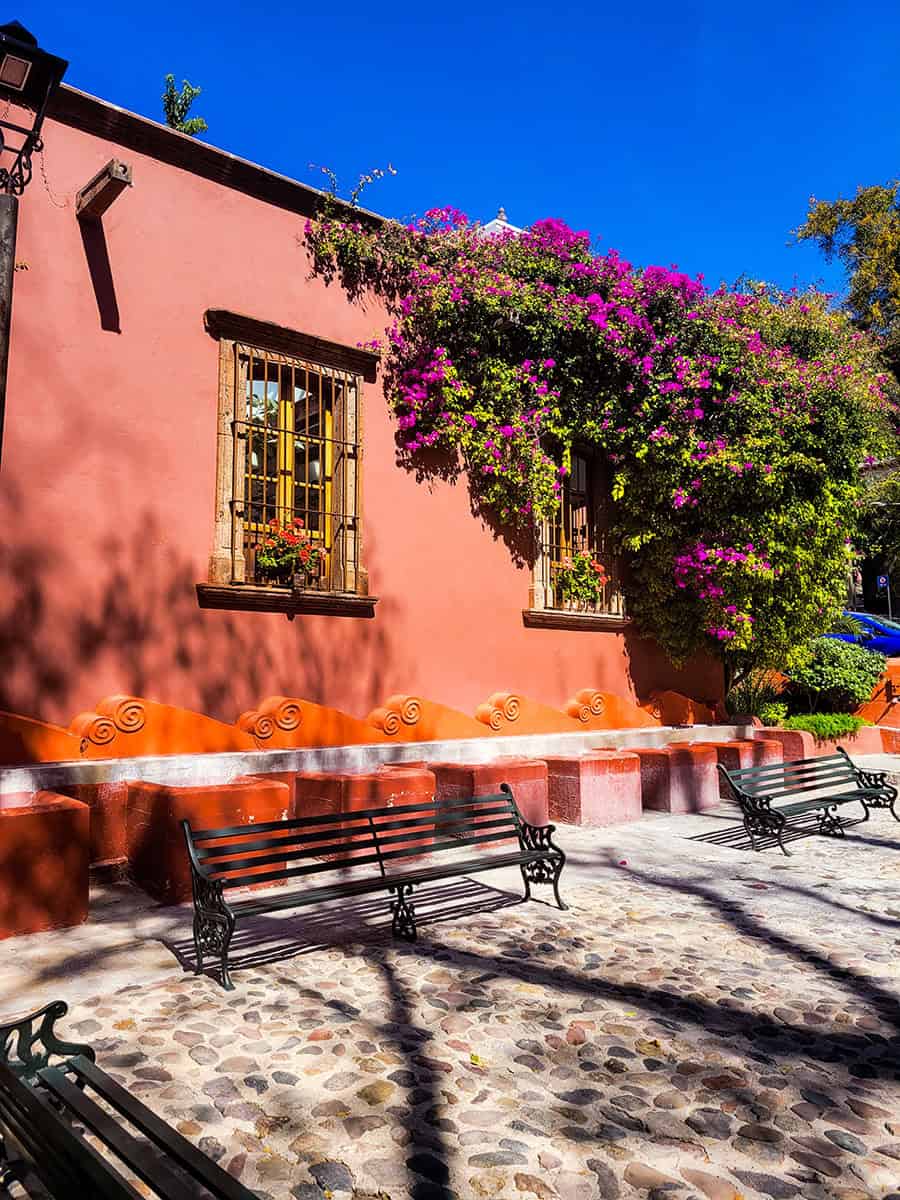 Flowers hang down over the old laundry tubs at El Chorro in San Miguel de Allende.