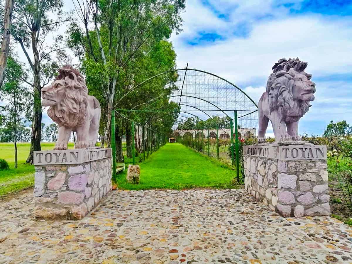 The entrance to the Vinicola Toyan near San Miguel de Allende, with lion statues on either side.