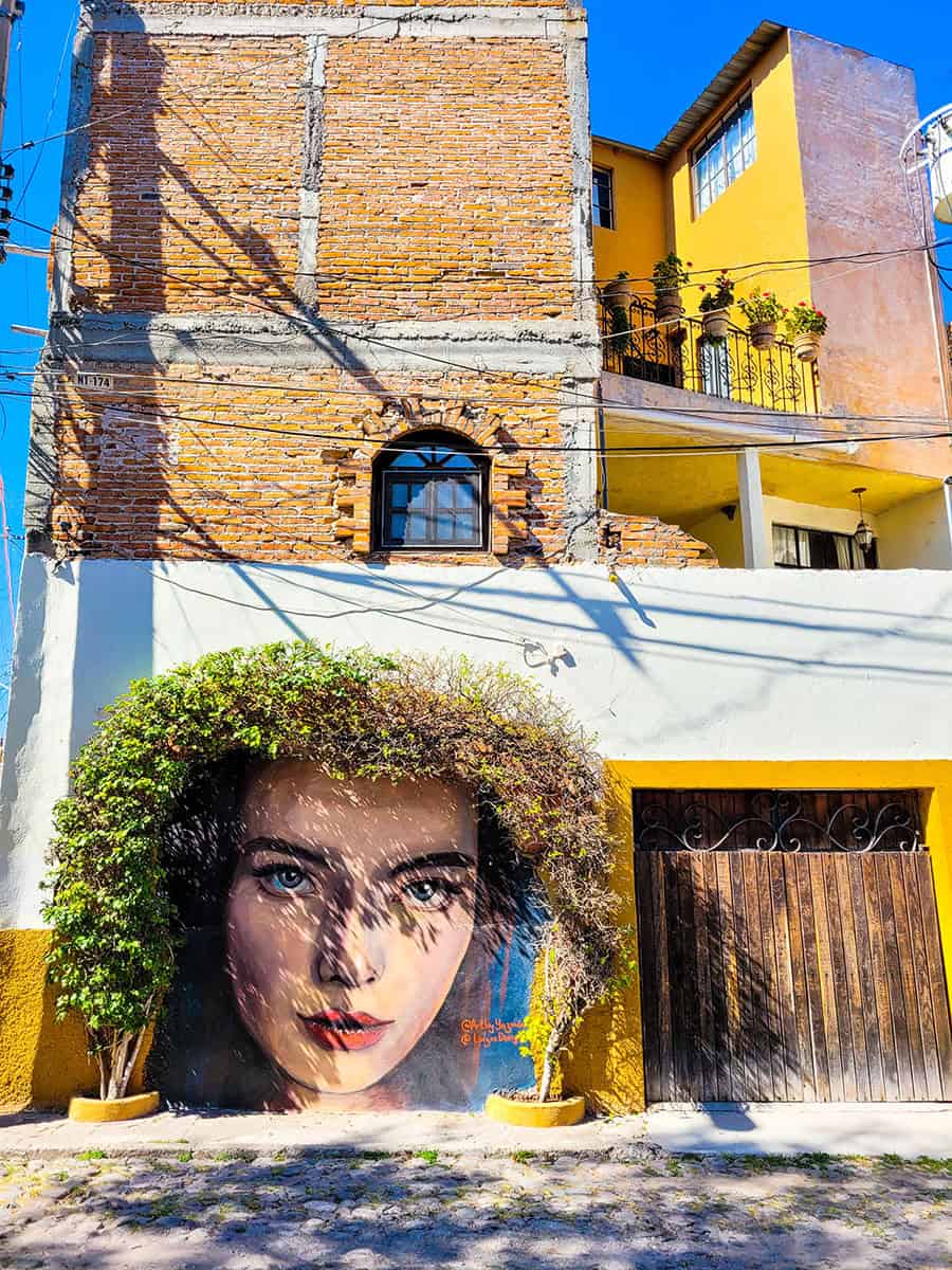 A street art mural on a brick building of a woman's face and an arched bush growing over her head like hair.