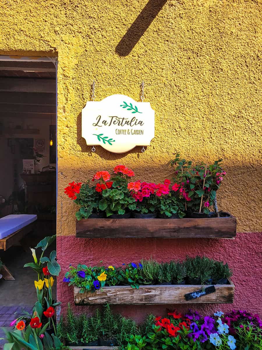 The entrance to La Tertulia cafe in Colonia Guadalupe, San Miguel de Allende with yellow walls and flowers surrounding the doors.