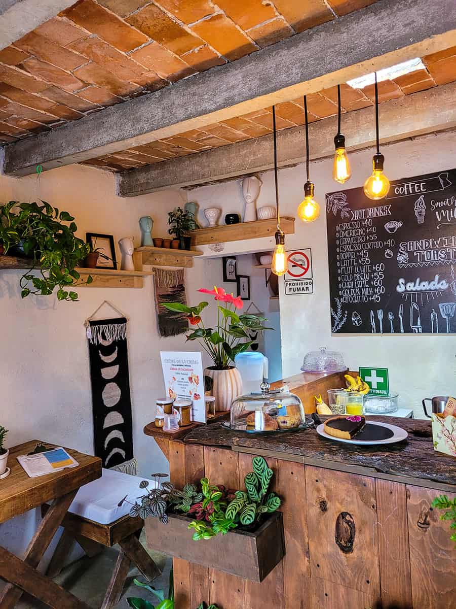 The inside of La Tertulia cafe in San Miguel de Allende with wooden beams and furniture, white walls and flowers.